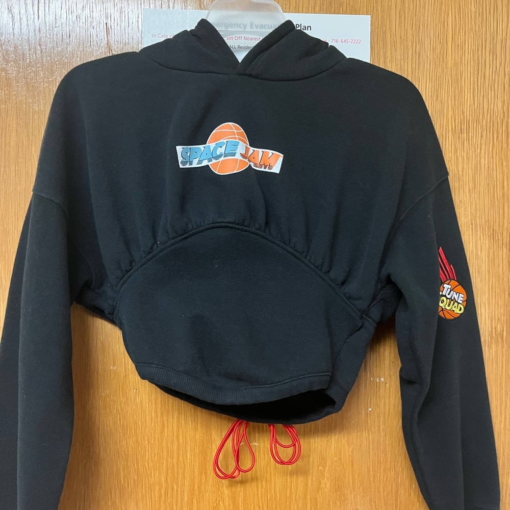 Space jam cropped hoodie